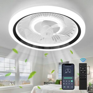 �V�[�����O�t�@�����C�gZXhome50cm��@�����APP/�����R�����u����LED�V�䃉�C�g�t�@���t���V�[�����O���C�g�����F�����F�d���F���K�i����/���F6�K�i���ʒ����t�@���t���Ɩ����t��]�c