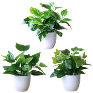 Zhejia フェイクグリーン ミニ 3個【光触媒・消臭・抗菌効果】人工観葉植物 観葉樹 造花 まあるい 手入れ…