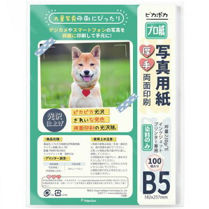 sJ|JB5ʐ^ʈpʐ^vgpCNWFbg100230gsm(P00B5YB230DG)