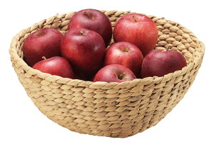 ���� ���[�� �J�S �o�X�P�b�g ���[ �E�H�[�^�[�q���V���X �A�W�A �����^ �ی^ ����� �j�g�� �������� C013N ��28 h12cm