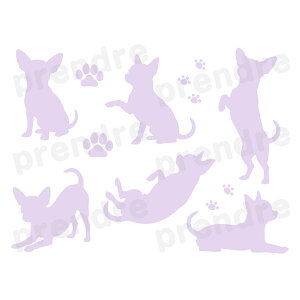 �X�e�b�J�[ �� �V���G�b�g �V�[�� �`���� ���� �I�ׂ�J���[ 10��� ���� �y�b�g ���� �G�� �m�[�g�p�\�R�� PC �� �J�[�X�e�b�J�[ ���A �K���X �� �V���v�� ���킢�� ���������� �������