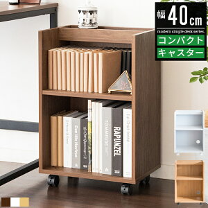 yyVX[p[SALEzfXNS TChS TCh`FXg X LX^[t 3i 40cm 40 60cm  ؐ k  zCg fXN[ fXNS fXN 