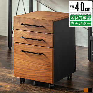 fXN [ o fXN[ fXNS fXNS  X LX^[t i k Be[W 40cm 58cm fXN`FXg fXNLrlbg TCh