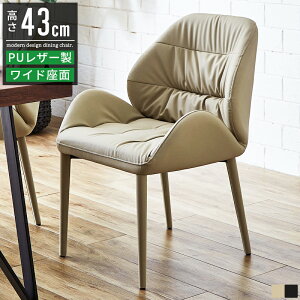 _CjO`FA 2rZbg _CjO ֎q CX `FA  ɂ x[W ubN  nCobN k AeB[N 43cm H֎q _CjO֎q JtF`FA H`