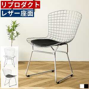 C[`FA v_Ng fUCi[Y`FA _CjO`FA U[  k _ ֎q X`[ Vo[ ubN zCg JtF`FA fXN`FA rO`