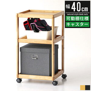 TChS fXNS LX^[t ؐ X  k RpNg 40cm fXN [ bN S e[u TChbN wKpS rOwK TChe[u 