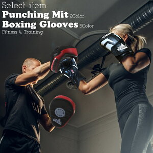 キック ボクシンググローブ 10オンスの人気商品 通販 価格比較 価格 Com