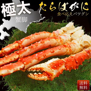 yԌSALE50OFFN[|LIz ^oKj  l 1kgO Jj {C Ⓚ Mtg Ε  j v[g i N ̓ ̓ p Jjʔ lC ^oI 