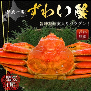 yԌSALE50OFFN[|LIz YCKj l p ^  Jj 킢 YCI 킢I j N v[g Ε  ̓ ̓ Mtg i 800gO Ⓚ 