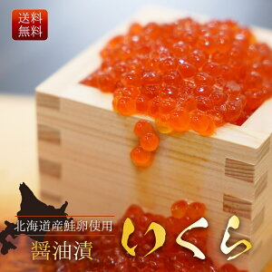  kCY  ݖЂ 炲 j N v[g Ε  ̓ ̓ Mtg i 500gO ① CN ikura yr[v[gLz