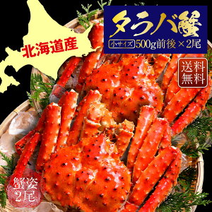 yԌSALE50OFFN[|LIz ^oI p 500gO 2 kCY Jj Ε   I Jjp N NNn  Mtg ^oKj j p Jj p JjX 