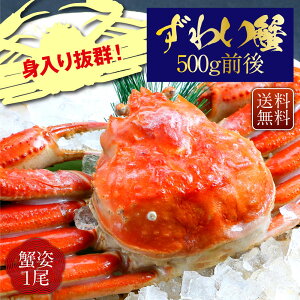 yԌSALE50OFFN[|LIz 킢I p 500gO 1 Jj Ε   I Jjp N NNn  Mtg YCKj j p Jj p JjX 킢 CN 