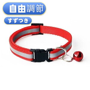 y2025 Voz  ybgp ^p Lp ʎ ˂ ˍޕt t ֔ˍނ Lp J[ ̎ Vv 􂢉\