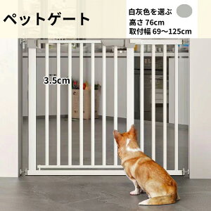 [2025 Vo]ybgQ[g L  Eh~ nC^Cv Ў葀  ς hAt Lp p u h~ Jsv tFX xr[tFX Lb` Ki  SQ[g