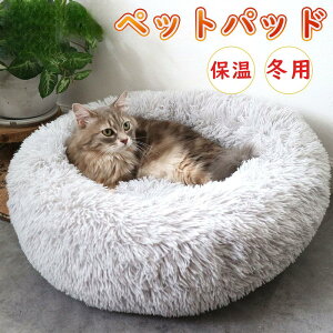 yCeA Z[ 5OFFzL xbh  VM[xbh xbhL̕ NbV ybgxbg ybg@t@[xbh 2025 ~ ̃xbh L̃xbh hbOnEX Hp ~p(50cmj