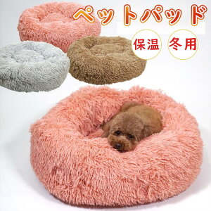 yCeA Z[ 5OFFzL xbh  VM[xbh xbhL̕ NbV ybgxbg ybg@t@[xbh 2025 ~ ̃xbh L̃xbh hbOnEX Hp ~p(50cmj