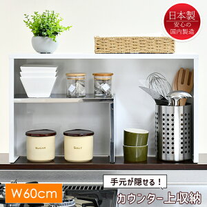 [15%offcpsp5{15NLO-11/19܂] JE^[[ bN Lb`bN XpCXbN X  60cm {