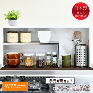 [15%offcpsp5{15NLO-11/19܂] JE^[[ bN Lb`bN XpCXbN X  75cm {