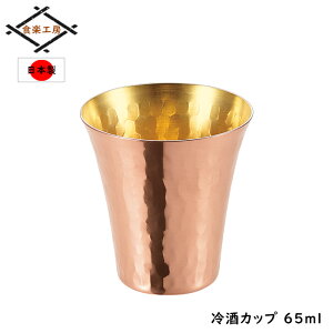  Jbv   65ml { Ȗ  傱    Jbv