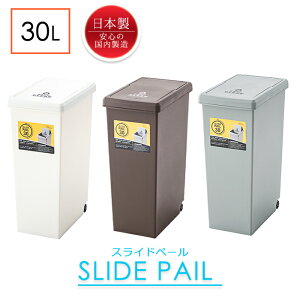 ダストボックス ゴミ箱 30L プッシュスライド 簡単オープン スリム 蓋付き 開閉 キッチン くずかご くず入れ