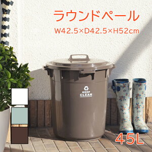 [15%offcpsp5{15NLO-11/19܂] S~ ی^ 45L Ehy[ t^t bN@\t ې  O  A[XJ[