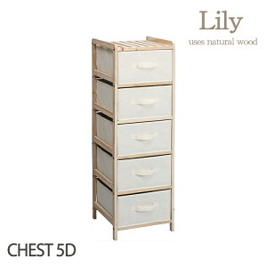 [15%offcpsp5{15NLO-11/19܂] h[`FXg 5i o Tj^[ h[  `FXg [ ʏ h[[