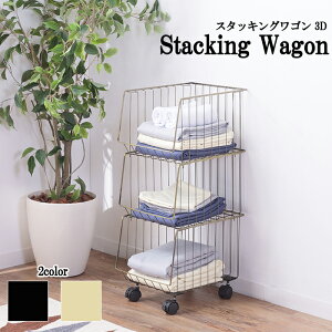 [p5{N[|}\-11/11܂] X^bLOS 3D X^bLOS X`[ [ 3i ςݏd 