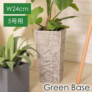 v^[ 5p 24cm A p` O[x[X ϗtA Aւ CeA  tFCNO[ p ItBX rO ̂