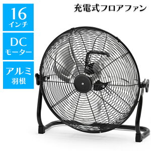 [p10{yVX[p[SALE-9/11܂] tAt@ @ DC[^[ 40cm A~H [d H AEghA |[^u