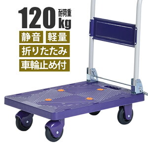 [10%offN[|s9/25-9/30܂]  ܂肽 y É 120kg  ^ ܂肽ݎ LX^[t J[g RpNg 