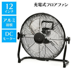 [p10{yVX[p[SALE-9/11܂] tAt@ @ DC[^[ 30cm A~H [d ^ H AEghA |[^u