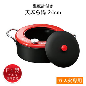 天ぷら鍋 24cm ガス火専用 温度計 フード 蓋付き 日本製