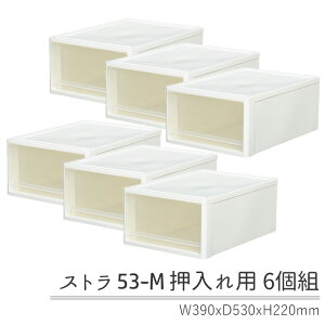 クローゼット収納 引き出し 53-M クローゼット用6個組 同色6個セット 浅型