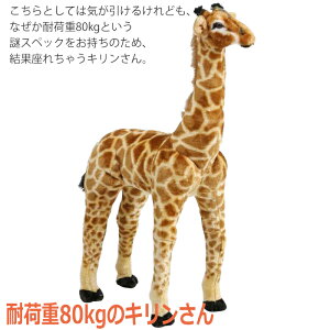 [10%offN[|s-10/13܂] L ʂ  CeA  ω׏d80kg