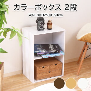 [p5{N[|聝}\-10/17܂] J[{bNX ɖ{ { {I VFt 2i  