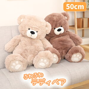 [15%offcpsp5{15NLO-11/19܂] ʂ  efBxA v[g Mtg l` j  ̎q j̎q