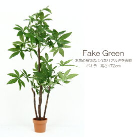 楽天市場 観葉植物 水やり不要 パキラの通販