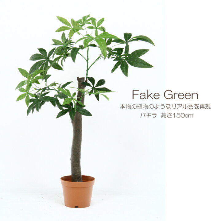 楽天市場 観葉植物 フェイク 150cm インテリア 造花 人工観葉植物 パキラ 朴パキラ 水やり不要 枯れない 8号鉢 大型 おしゃれ The Voice