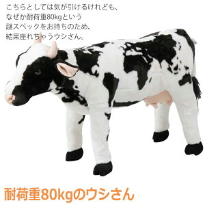 [10%offN[|s-10/13܂] EV ʂ  CeA  ω׏d80kg