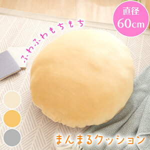 [p5{N[|聝ubNtCf[11/27܂] NbV  }V} C 傫 ی^ EhNbV 60