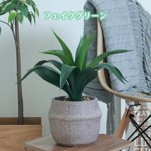 [7%offN[|s-12/04܂] tFCNO[ AKx Zg|bg  ϗtA  