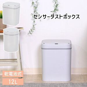 [p5{N[|聝}\-10/27܂] S~ _Xg{bNX 12L ZT[ dr  zCg RpNg