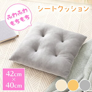 [7%offN[|s-12/04܂] NbV  }V} C zc V[gNbV 42×40cm