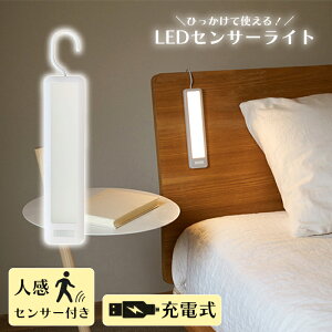 [10%offN[|s-10/19܂] ZT[Cg ^ Ђ LED dF [d N[[bg  RITEX