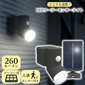 LEDZT[Cg lZT[Cg O hƃCg \[[ Vv RITEX