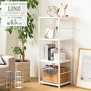 yp10{cpLyVX[p[SALE-12/11܂Łz TChbN LINZ 45 3i [ I[vbN EbhbN EbhVFt Vv fUC 