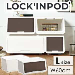 [15%offcpsp5{15NLO-11/19܂] [{bNX 60 [P[X tbv{bNX OJ X^bLO ςݏd XgbJ[ ߗގ[ N[[bg