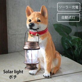 ソーラーライト 柴犬ポチ ライト 玄関 玄関ライト おしゃれ かわいい グッズ 置物 ガーデン 犬 照明 太陽光 ソーラーライト ガーデンライト