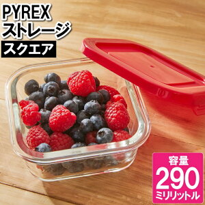[p5{N[|}\-9/24܂] ۑe ϔMe ϔMKX 290ml  I[u Ⓚ dqWΉ p^