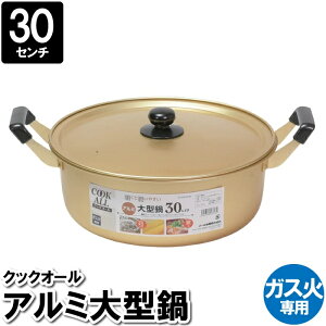   Ȃ 30cm A~ ^ KXΐp Wt [ e